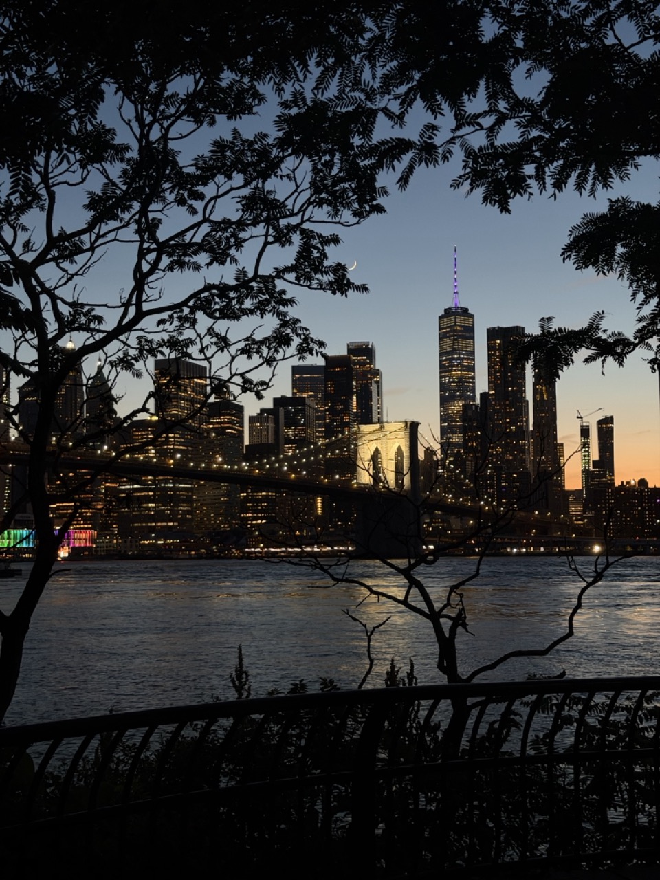 Dumbo Weekend Wander